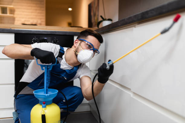 Trusted Manchester, NH Pest Control Experts