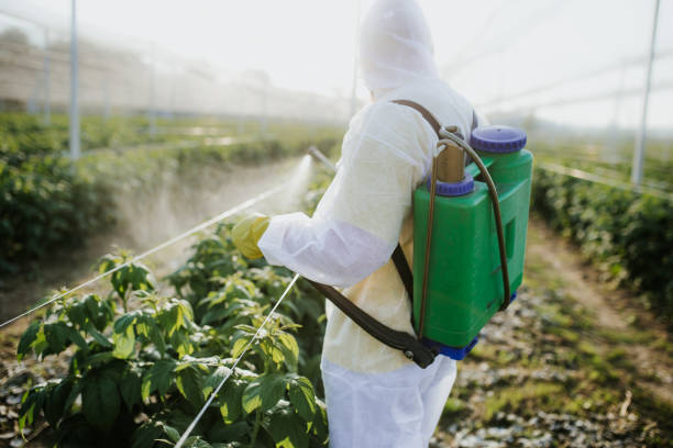 Pest Control for Restaurants in Manchester, NH